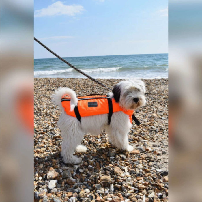 Typhoon Totland Dog Vest - Lead Attached