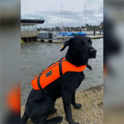 Typhoon Totland Dog Vest - On the Docks